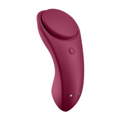 Satisfyer Sexy Secret Panty avec App