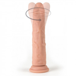 R16 Rosa