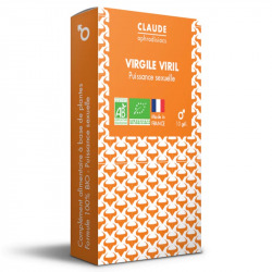 Virgile Viril