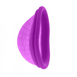 Coupe Menstruelle Lilas L Femme République