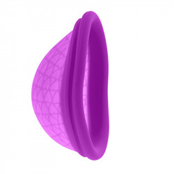 Coupe Menstruelle S Lilas Femme République