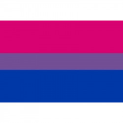Bandera 90 x 150 Bisexual
