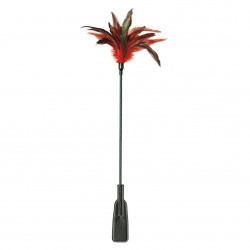 Azotador Plumas