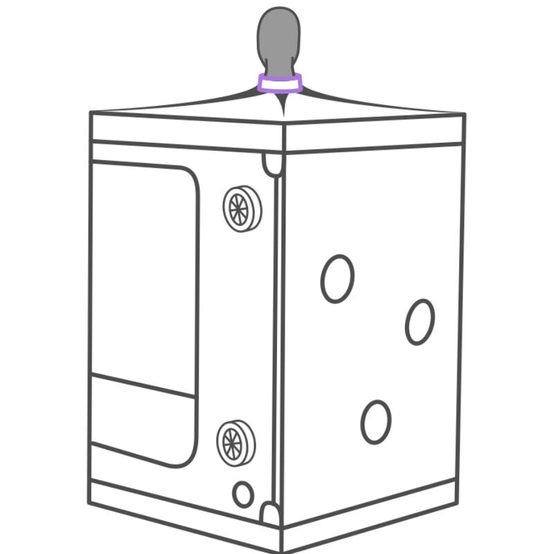 Kink Club Cabina Scandale Morado