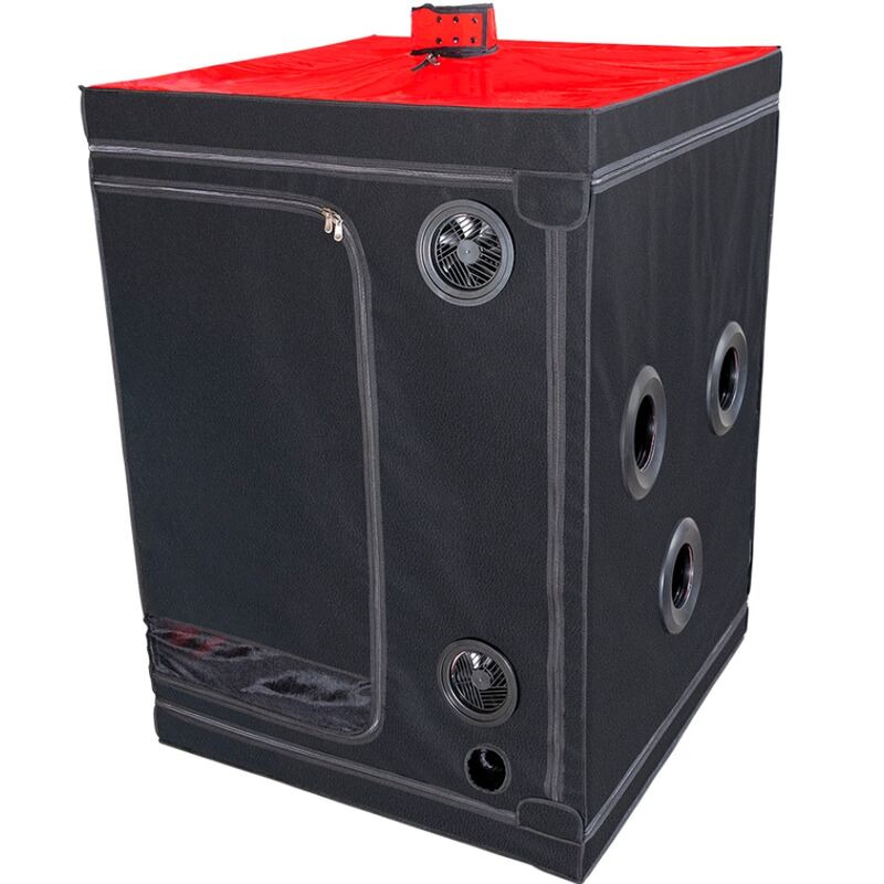 Kink Club Cabina Scandale Negro y Rojo