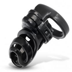 Detention Jaula para el Pene con Accesorio para Prince Albert