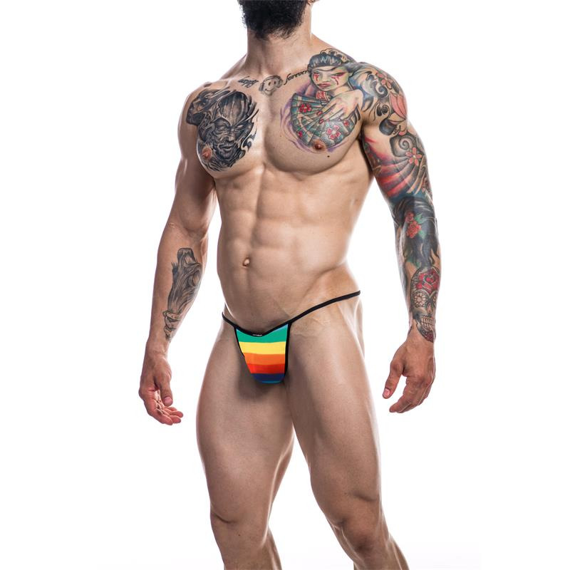 Briefkini Arcoiris Rainbow
