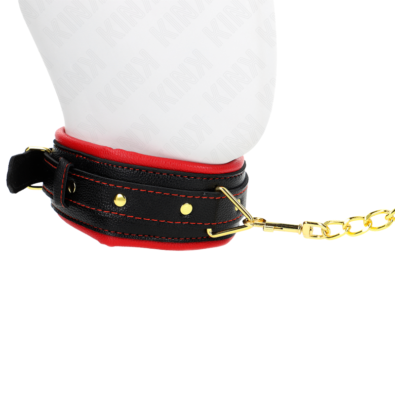 Collar con Correa Esponja Modelo 2