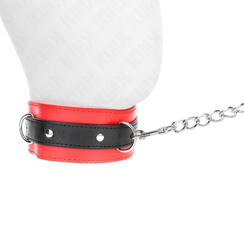 Collar con Correa Rojo