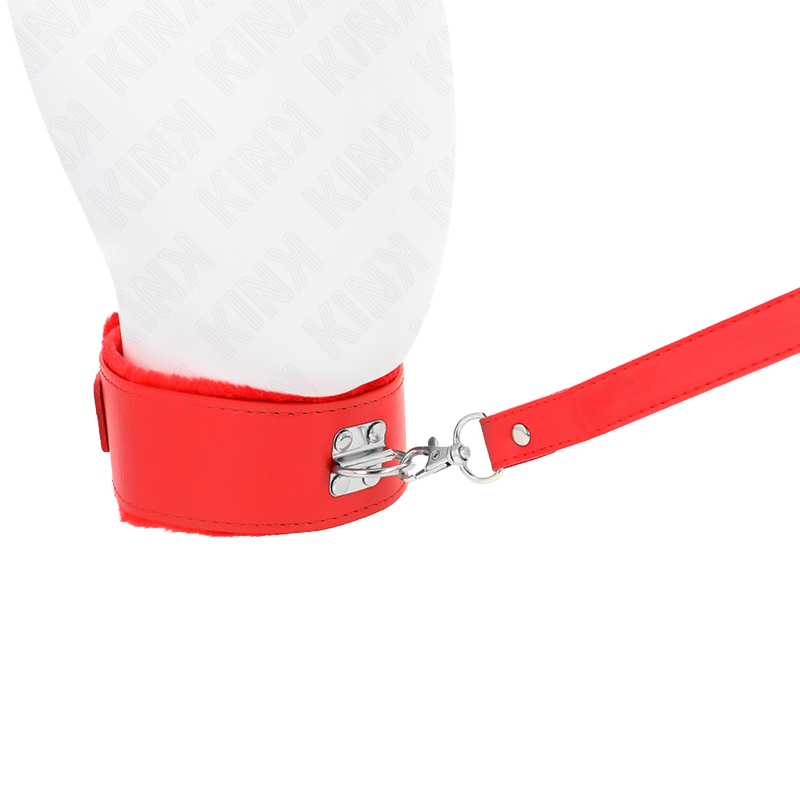 Collar con Correa Rojo