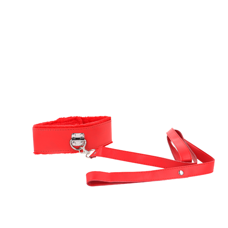 Collar con Correa Rojo