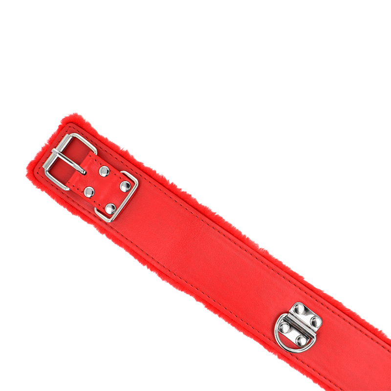 Collar con Correa Rojo