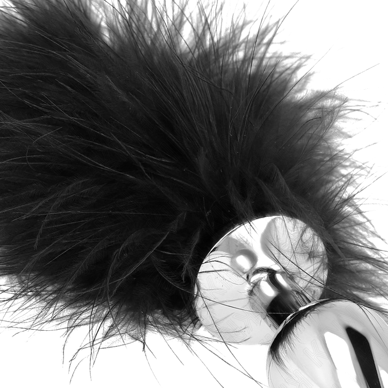 Plug Anal Acero Inoxidable con Pluma