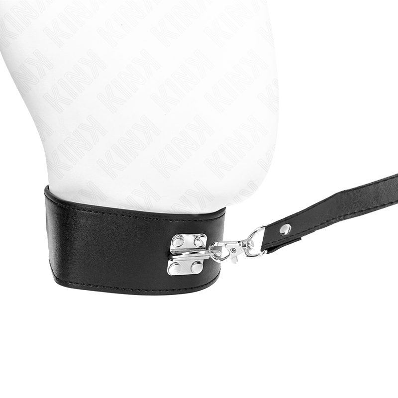 Collar con Correa Modelo 2