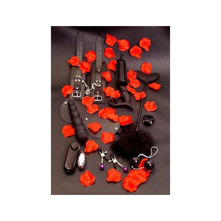 Kit de Jeux Sexuels Amazing Pleasure