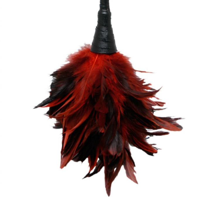 Plumeau Stimulant Rouge Fetish Fantasy