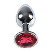 Plug Anal Métal Moyen Fuchsia avec Pochette