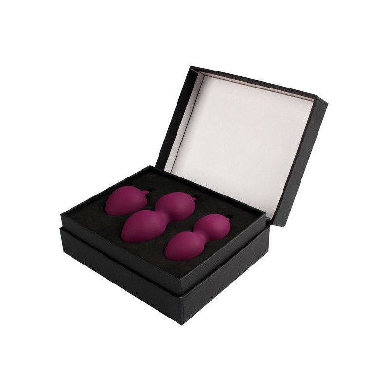 Kit Nova Boules de Kegel Violet