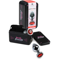 Plug Anal Métal Petit Rouge avec Étui