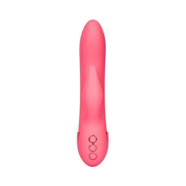 Lapin de San Francisco Sweetheart rose