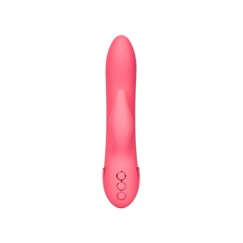Lapin de San Francisco Sweetheart rose