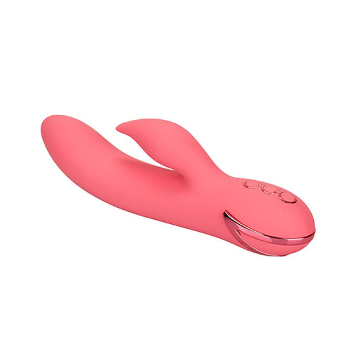 Lapin de San Francisco Sweetheart rose