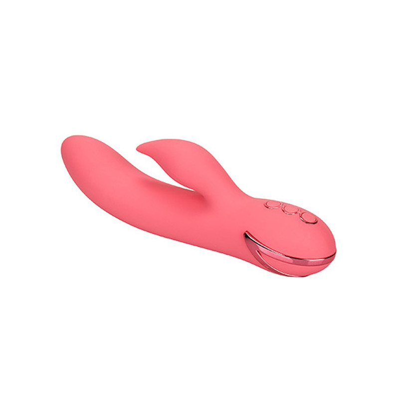 Lapin de San Francisco Sweetheart rose