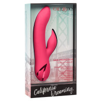 Lapin de San Francisco Sweetheart rose