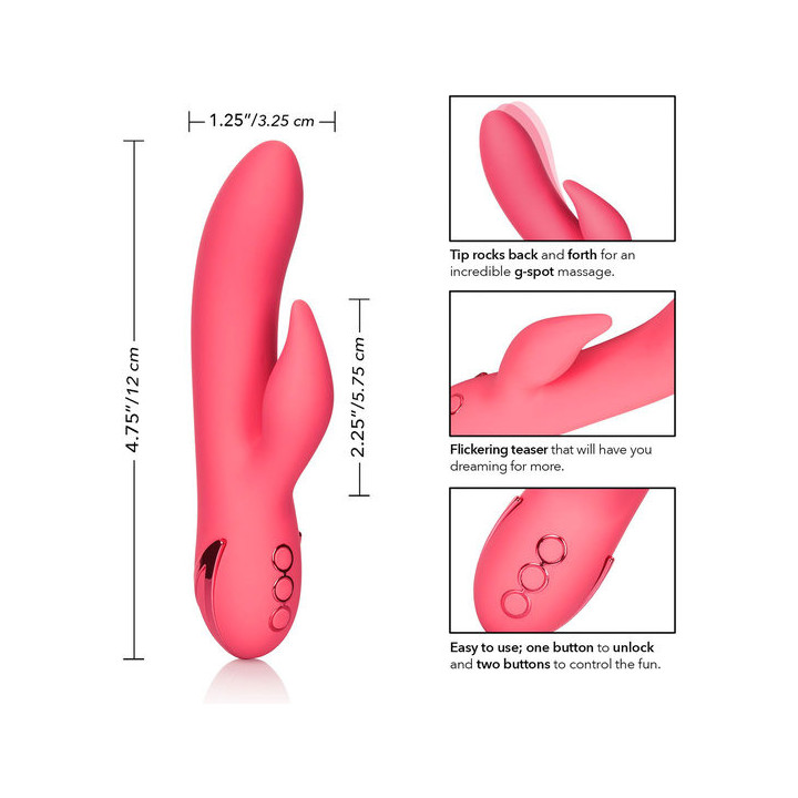 Lapin de San Francisco Sweetheart rose