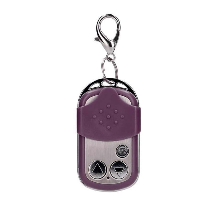 Oeuf Vibrant à Distance 10 Vit Violet