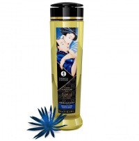Huile de Massage Séduction Shunga 240 ml