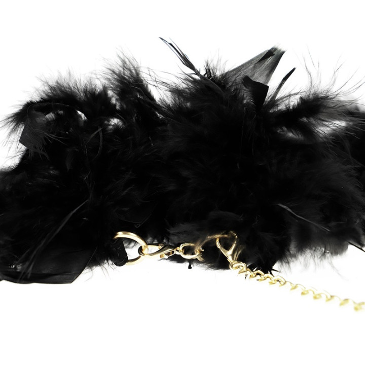 Plumes chics d’épouses de désir