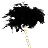 Plumes chics d’épouses de désir