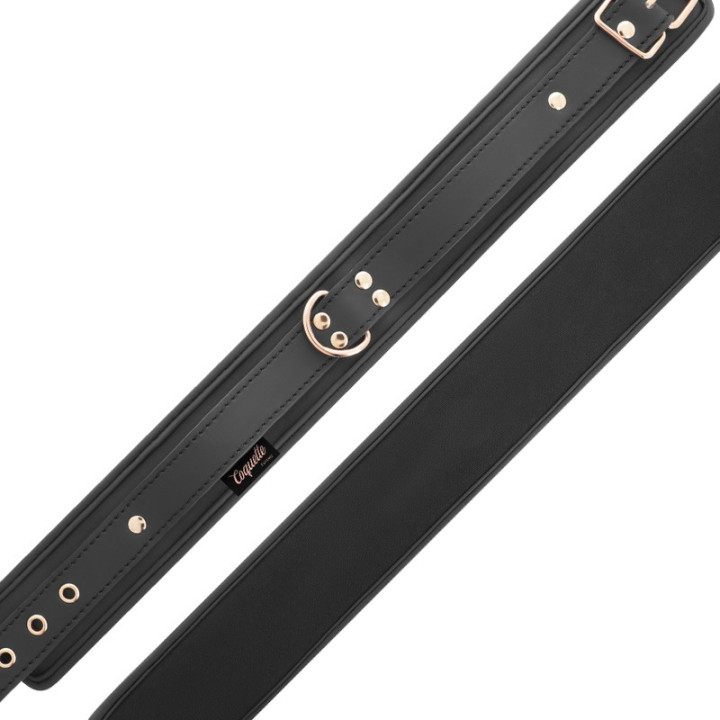 Fantasy Collier avec Laisse
