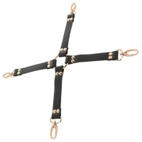 Fantasy Hogtie