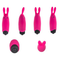 Lastic Pocket Vibe Rose