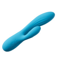 V1 Bleu