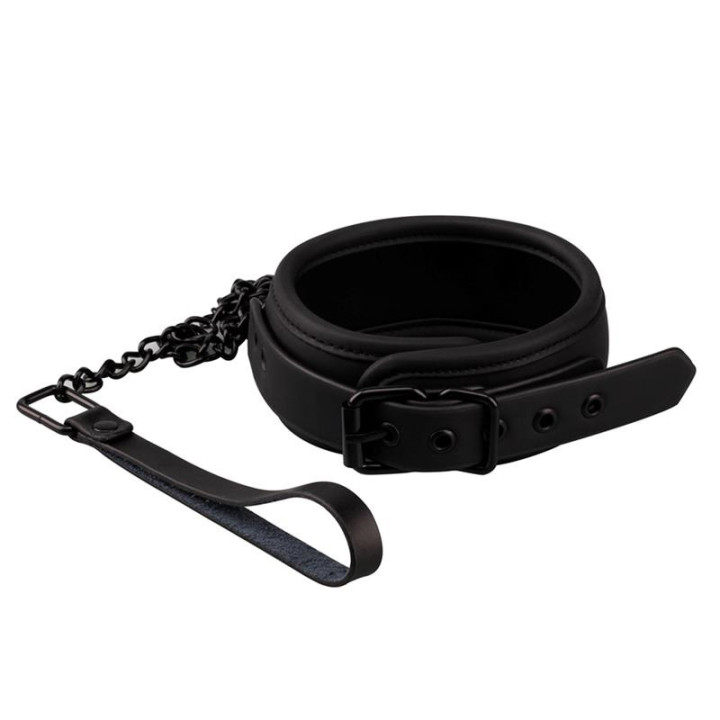 Collier avec Laisse Intoyou