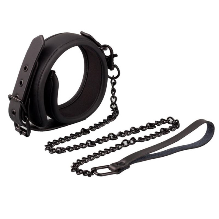 Collier avec Laisse Intoyou