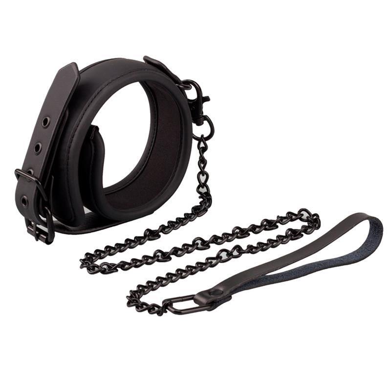 Collier avec Laisse Intoyou