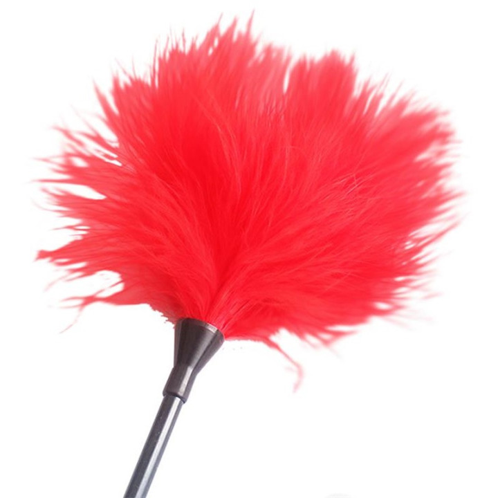 Set Bondage Starters Rouge