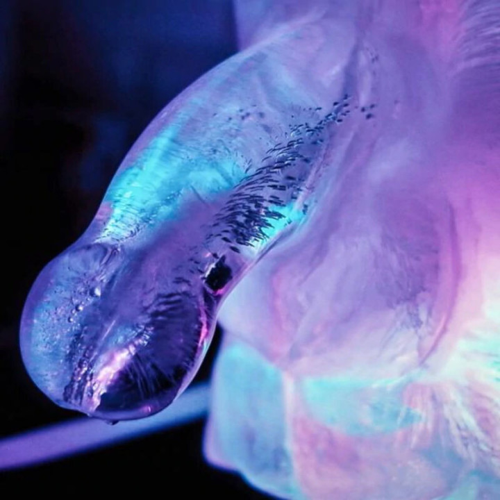 Luge de glace Énorme pénis gelé