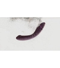Womanizer OG Aubergine Point G