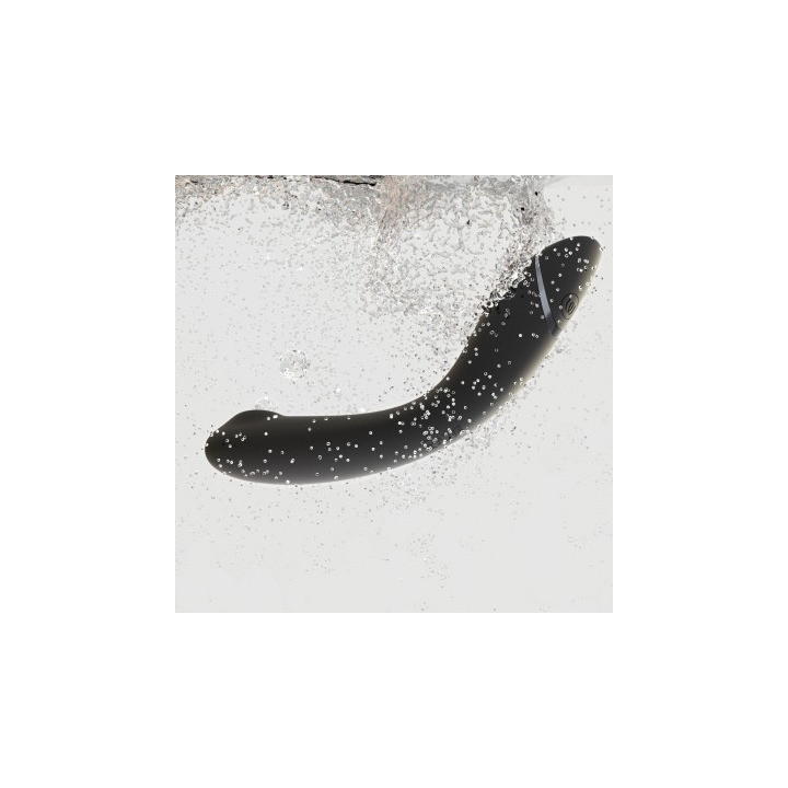 Womanizer OG Slate Point G