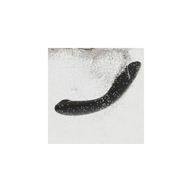 Womanizer OG Slate Point G