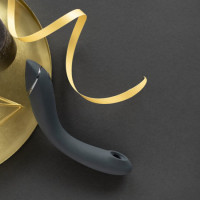 Womanizer OG Slate Point G