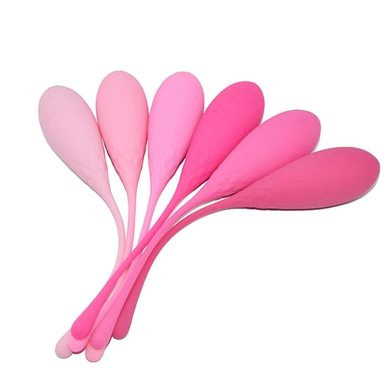 Kit 6 Boules de Kegel en Silicone
