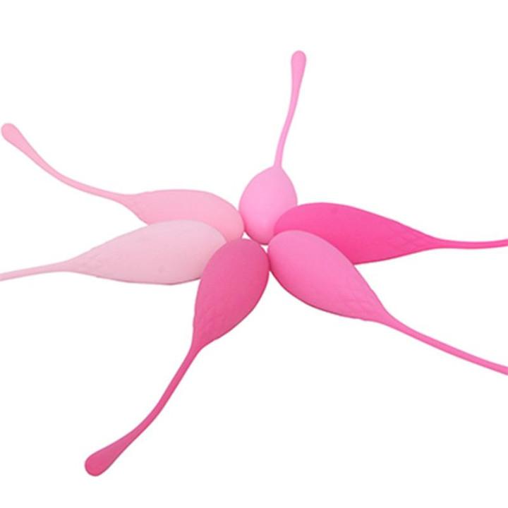 Kit 6 Boules de Kegel en Silicone