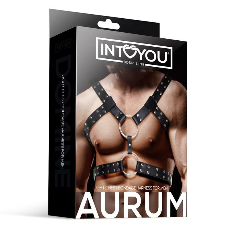 Aurum Harnais Masculin