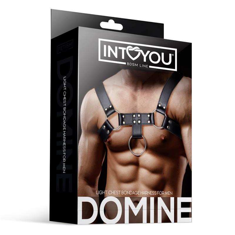 Domine Harnais